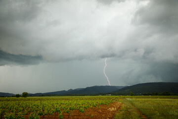 Fototapeta na wymiar storm over the field