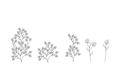 set handmade vector illustration. design element cotton flowers blossom.