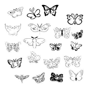stencils of beautiful butterflies isolated on a white background. hand drawing illustration.