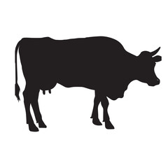 A Cow Black Color Vector Silhouette Illustration.