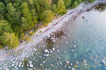 Coastline of the Baltic Sea in summer, view from above, Viimsi.