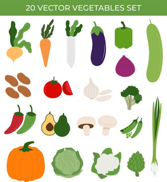 Set of 20 vegetables vector, Collection of 20 vector vegetables, These 20 meticulously crafted illustrations depict a diverse range of farm-fresh vegetables, perfect for promoting healthy eating, cook