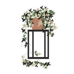Ivy in a pot on a black stand for house. Flat vector illustration