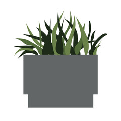 Green succulentus plant in a gray pot. Flat vector illustration