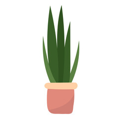 green plant in a pot, isolated vector