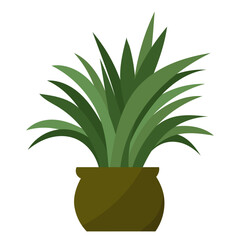 plant in a pot, on a white background in a flat style, isolated - obrazy, fototapety, plakaty