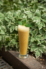 Portion of fresh sweet fruit smoothie with mint in the garden