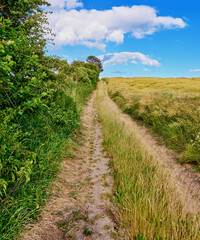 Fototapeta na wymiar Road, path and countryside with travel, green and nature with direction, destination and farm field. Blue sky, land and drive way with grass and bush, journey and traveling view with environment