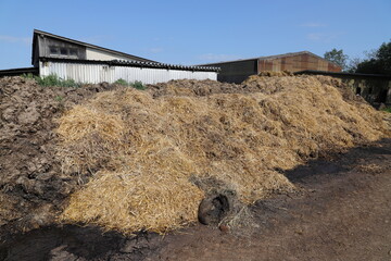 a large dung heap on a horse farm	