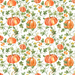 Watercolor seamless pattern with orange pumpkins on a whitebackground. Farm vegetable garden with ripe pumpkins background for textiles, fabrics, decor.