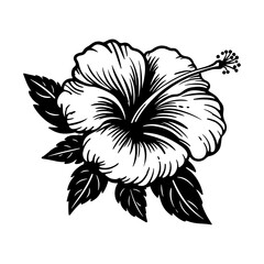 Hibiscus, isolated on white background. Vector illustration.