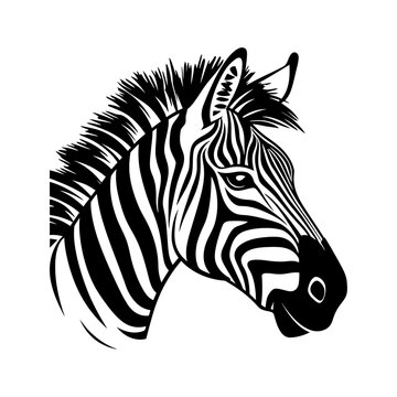 Zebra head, silhouette African zebra, isolated on white background, vector illustration.