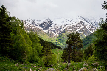 Fototapeta premium Beautiful mountainous terrain. Spring landscape in the mountains. Hills overgrown with trees and blue sky. Mountain trail hiking along forest paths.