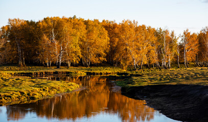 Beautiful forest lake in autumn. Autumn forest lake landscape. Autumn forest lake view. Forest lake in autumn.