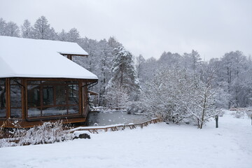 wooden house in snow