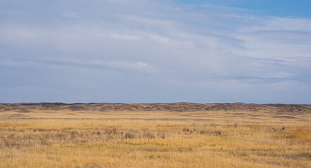 Fototapeta premium Savanna covered with dry yellow grass and hills on the distant. White clouds in the blue sky. Desert in Namibia. Hot day. Travel to Africa.
