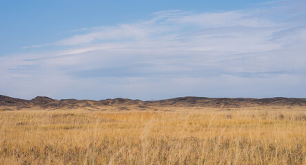 Savanna covered with dry yellow grass and hills on the distant. White clouds in the blue sky....