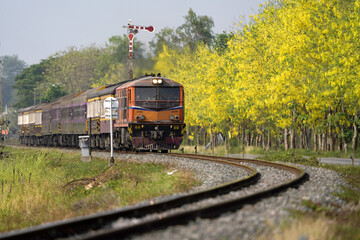 Fototapeta na wymiar The Train railway transportation with Yellow flowers season in Chiang-Mai, Thailand. 