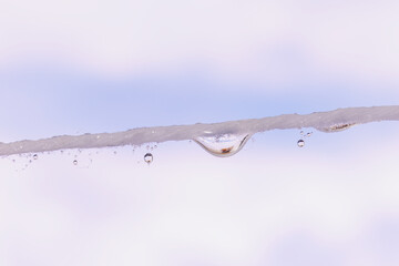 drop of water on a silk thread