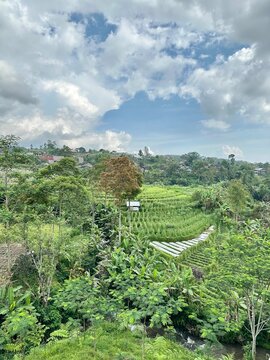 Ndoro Donker - Solo, Indonesia, 27 April 2023