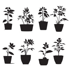 Beautiful Small Plants Silhouette Vector, Plants pot Vector, Plant silhouette set	