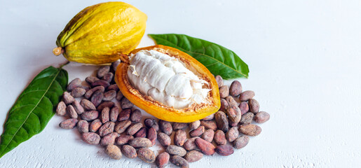 Ripe fresh slide cocoa pods, half-in cut cocoa fruit, and dry brown cocoa beans with green cacao leaf on white wooden background