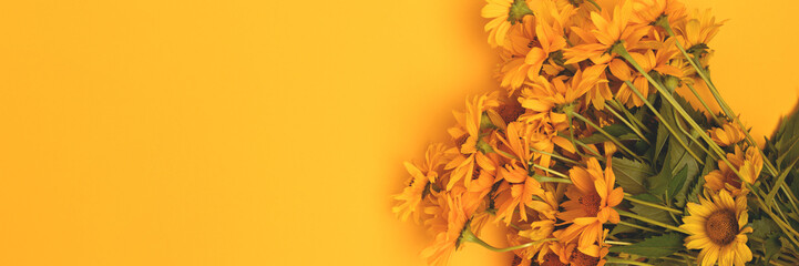 Banner with bouquet of arnica flowers on a yellow background. Place for your design.