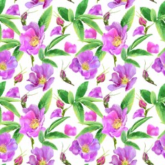 Watercolor seamless pattern of wild rose flowers isolated on white background. Wedding invitations, greeting cards, wrapping paper, textiles, clothes.