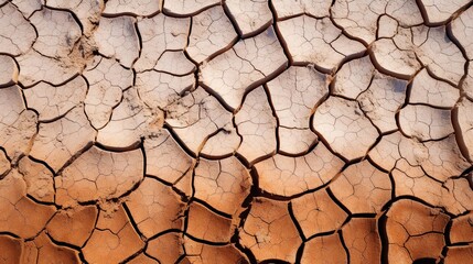 Cracked Earth Desert Pattern
