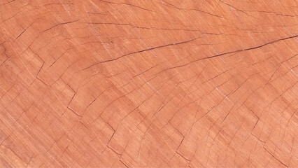Wood background or texture. Natural wood texture with Light wood texture background surface or wood texture table top view