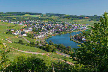 Nittel an der Mosel in Rheinland-Pfalz, Deutschland