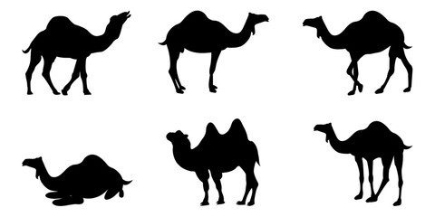 Camels Vector Silhouette Set