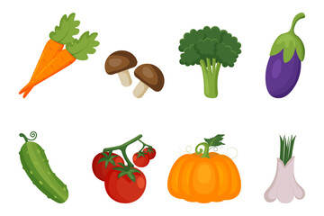 Vector set of fresh vegetables for cooking a culinary dish in the style of a cartoon. Organic, healthy lifestyle, vegetarianism