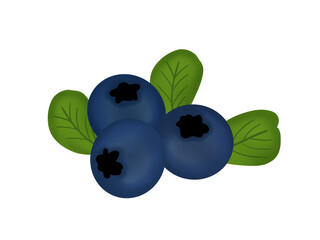 dark purple cartoon blueberry It is a fruit that can be used as a shop logo on a white background.

