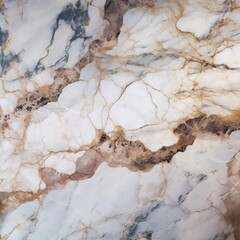 Elegant Marble Stone Texture
