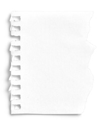 Small Notepad Half Page Torn