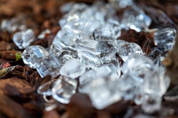 ice cubes on the earth in a flower bed