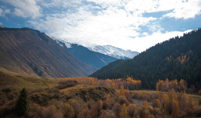Beautiful autumn afternoon in the mountains. Trees on the edge of the slope in autumn colors. Beautiful countryside in cloudy weather.