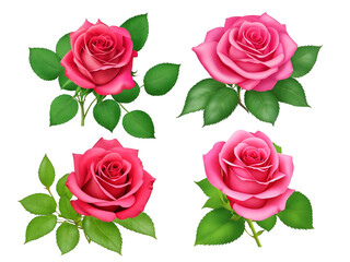Illustrated Set of rose clipart element,Ai