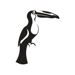 Toucan bird vector illustration design.