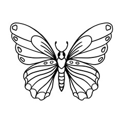  Insect butterfly hand-drawn illustration for coloring page of book for children and adults. Png 
