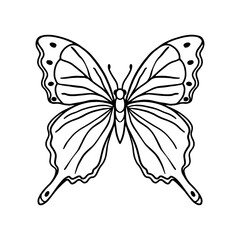  Insect butterfly hand-drawn illustration for coloring page of book for children and adults. Png 