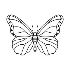  Insect butterfly hand-drawn illustration for coloring page of book for children and adults. Png 