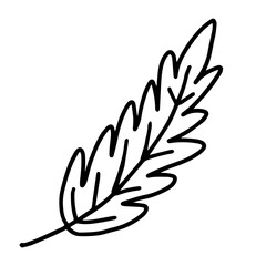 Hand drawn line art of oak leaf. Decorative floral element in doodle style