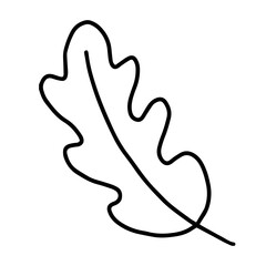 Obraz premium Hand drawn line art of oak leaf. Decorative floral element in doodle style