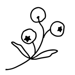 Hand drawn illustration of branch with berries. Decorative floral element in doodle style