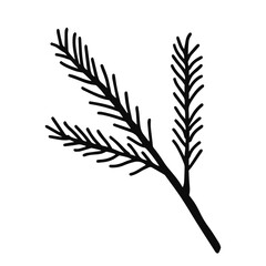 Hand drawn line art of fir branch. Christmas decorative floral element in doodle style