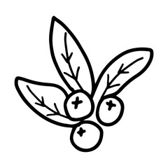 Hand drawn illustration of leaves with berries. Decorative floral element in doodle style