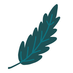 Hand drawn illustration of oak leaf. Decorative floral element in doodle style