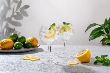 Gin tonic classic alcoholic cocktail drink with dry gin. Alcohol drink with lemon. Gin tonic...